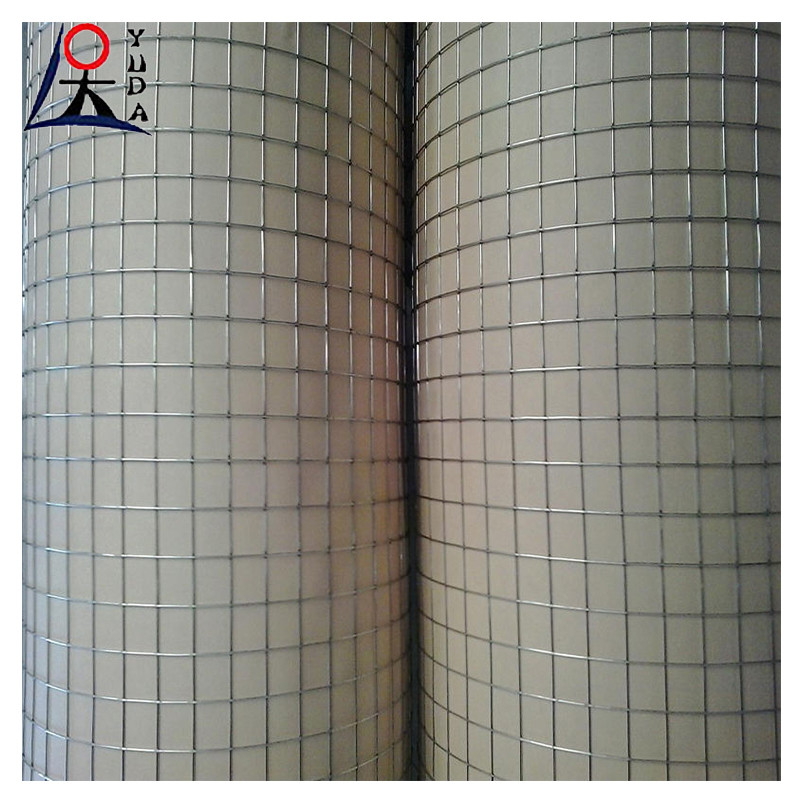 Galvanized Welded Wire Mesh Fence Roll 2x2 Fine Wire Diameter