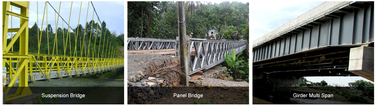 Fast Construction Truss Bailey Bridge With Tolerance ±1% And Q355/Grade 350/ASTM A992
