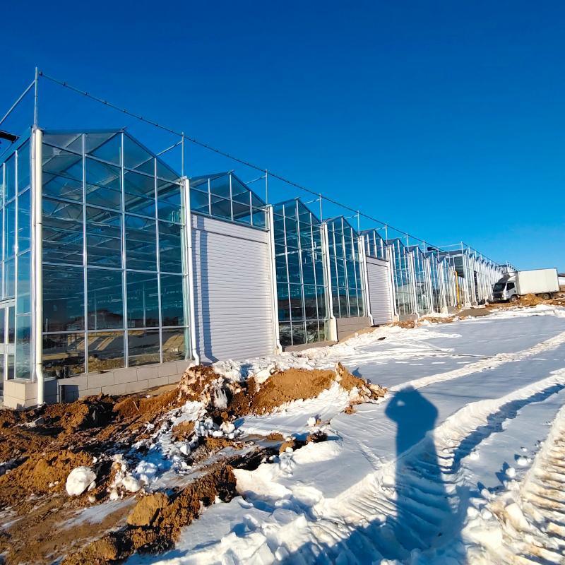 Commercial Greenhouse Poly Film Multi-Span Film Greenhouse for Planting Tomota, Cucumber, Lettuce