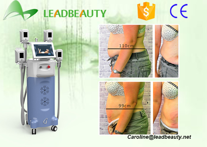 Hot in USA!Fat freeze 4 heads cryolipolysis cavitation rf weight reducing machine