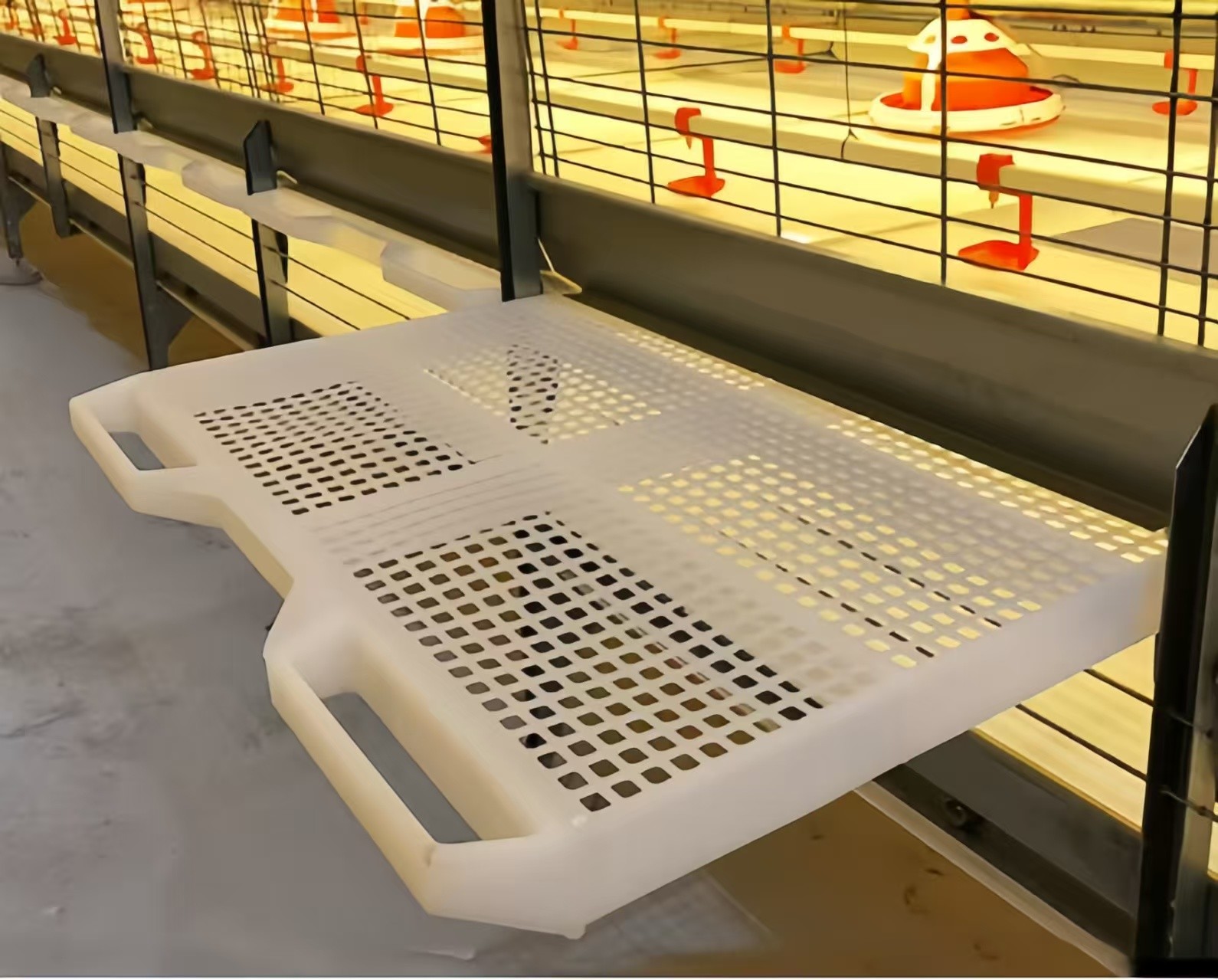 Pull Out Slat Chicken Layer Cages Automatic Harvesting Broiler Battery Cages For Laying Hens