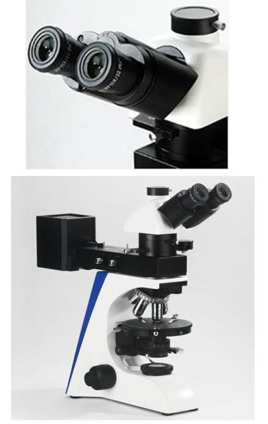 Reflecting Illumination Compound Light Microscope Polarizing Siedentopf