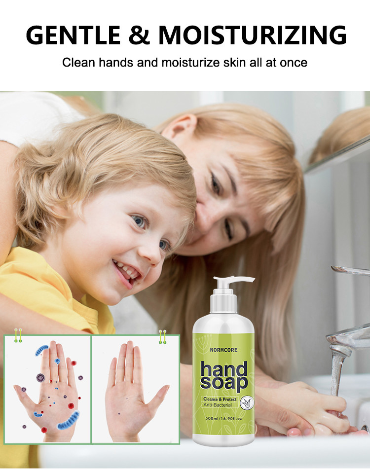 Fruit Scent Essential Oil Hand Soap Tea Tree Hand Wash Liquid