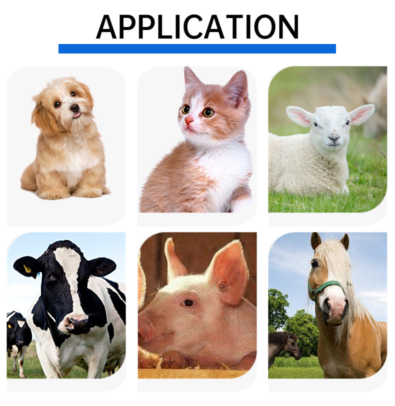 Animal RFID Microchip Scanner Ear Tag Reader 3AA Battery Microchip Scanner For Dogs