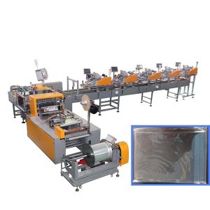  CPP PP Express Envelope Horizontal Flow Wrap Machine Manufactures