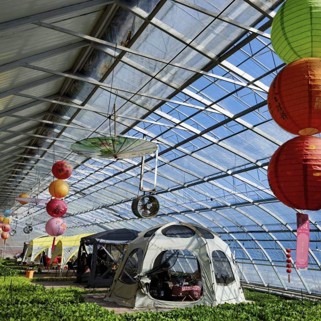 Hydroponics Growing System Sunlight Greenhouse