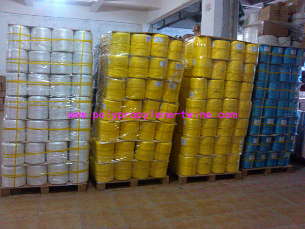 Agricultural Twine UV Treated Tomato Tree Galvanized Hook PP Twine