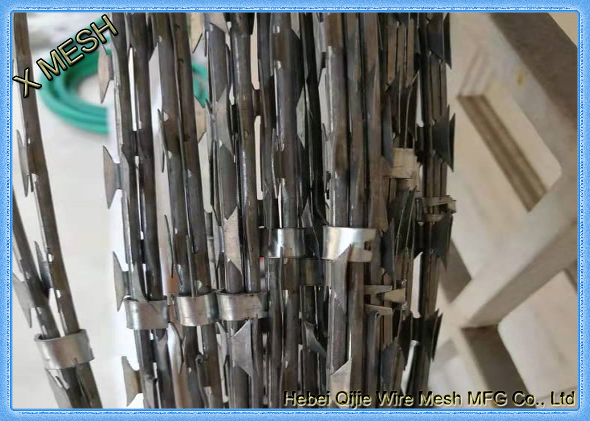 razor wire with clips
