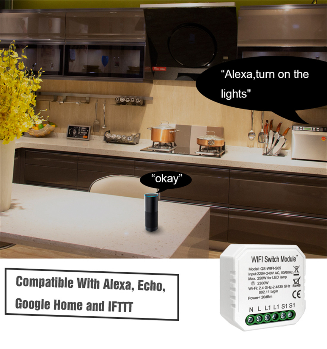 Wi-Fi Switch Module