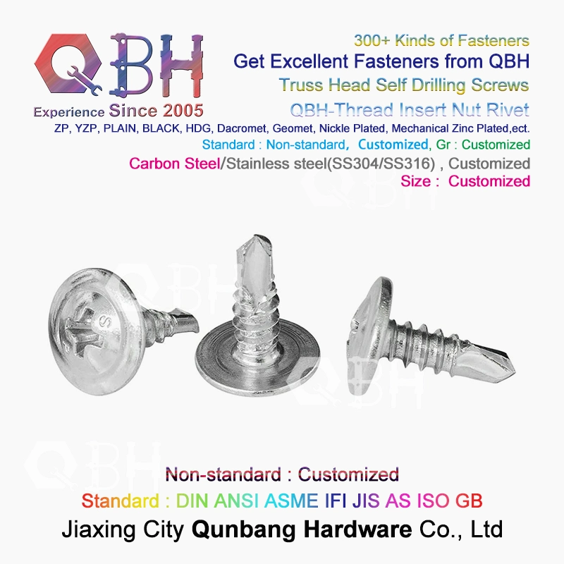 Qbh Customized Truss Wafer Head SDS Screw