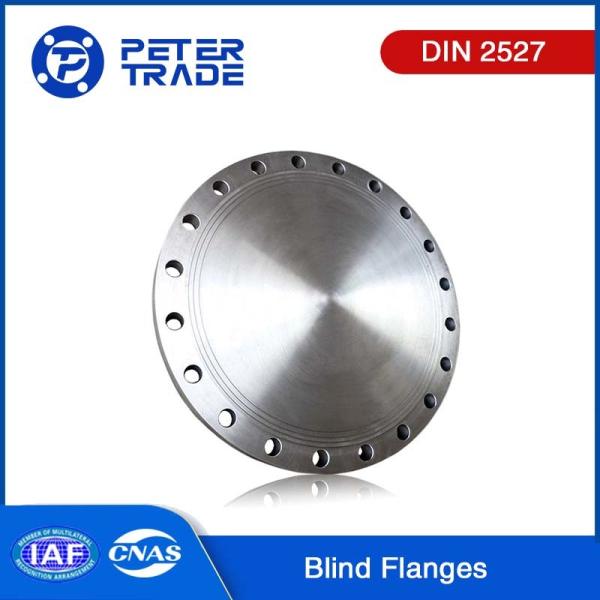 DIN 2527 High Pressure PN 100 Carbon Steel/Stainless Steel A105 A350 LF2 A182