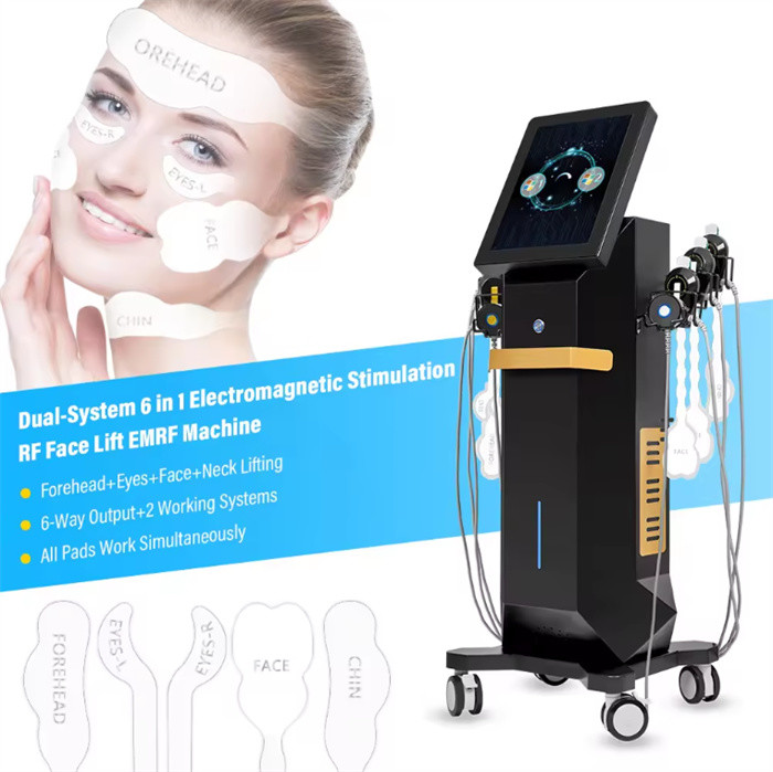 6 IN 1 Electromagnetic Stimulation EMS RF Facial Sculpting EMRF Machine