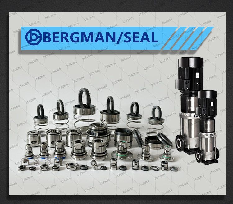 BERGMAN 58U 59U 14mm-100mm G60 G4 G6 G9 G13 G16 BS Bo BP Pump Mechanical Seal