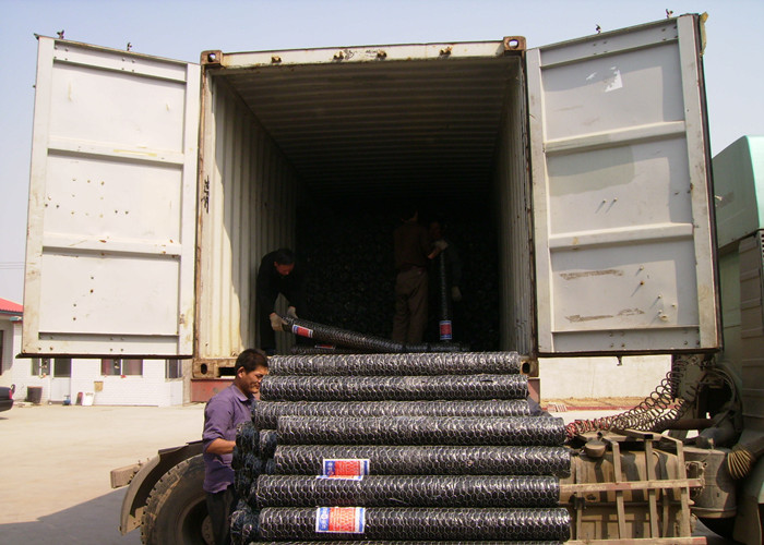 PVC Coated Building BWG25 25mm Hexagon Metal Mesh