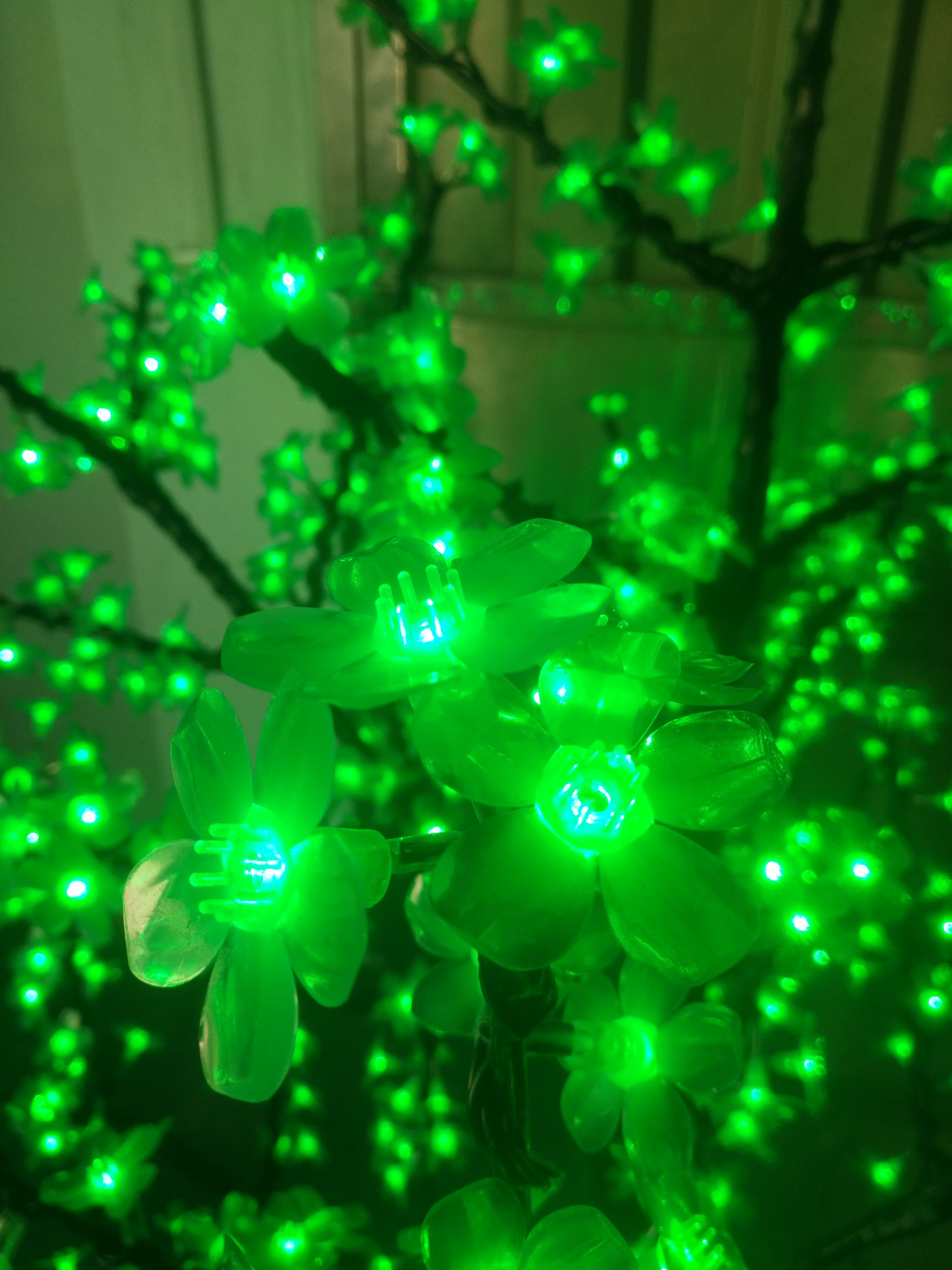 artificial trees with lights