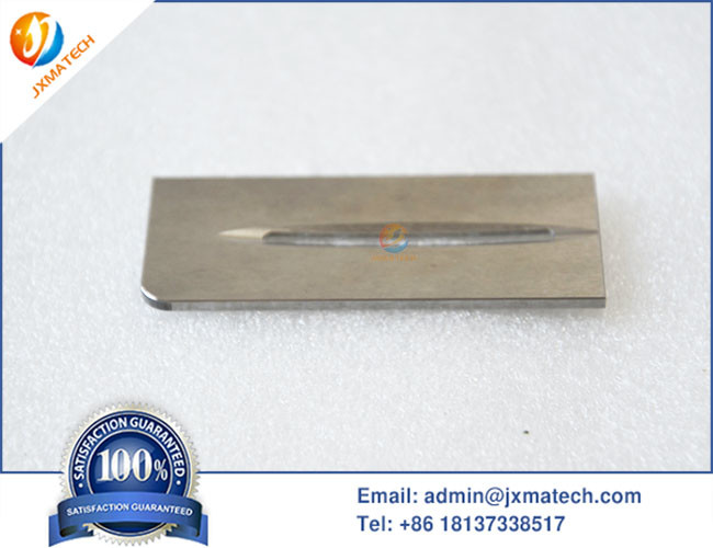 High Purity Tungsten Ion Implantation Components