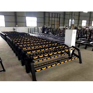 Custom Multi Function Gym Machine With Steel Dumbbell Rack