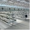 Buy cheap 9.6m 10.8m 12m span venlo prefab glass greenhouse indoor for vegetable from wholesalers