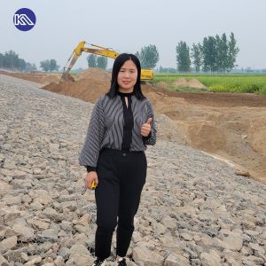  Outdoor Water Proof Gabion Mesh Box 2*1*1m Filled With Stone for Flood Control Retaining Wall Manufactures