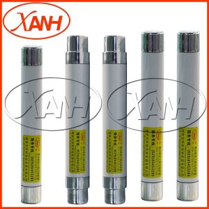 ISO9001 Certified 40.5Kv Bayonet Fuse Replacement Insert Installation 9f54lfc050