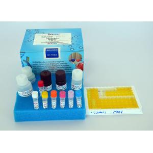 Strong Specificity Testosterone ELISA Test Kit With 2 Hours Assay Time
