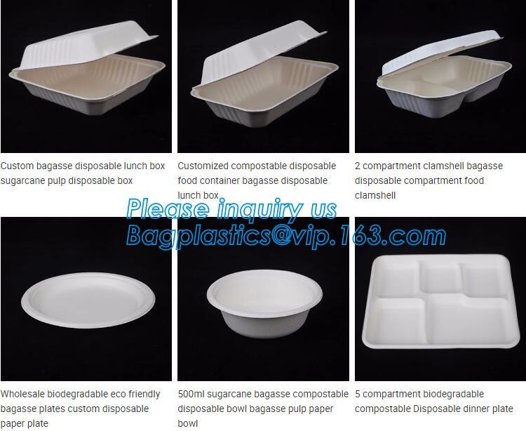 Meal Prep Containers Free Sample Bento Lunch Box Biodegradable Food Container Plastic Wheat Straw Lunch Box bagplastics