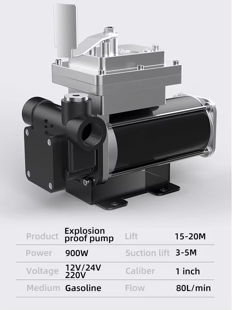 High Flow Compact Size 220 Volt 60L/min Electric Oil Portable Diesel Fuel Transfer Pump