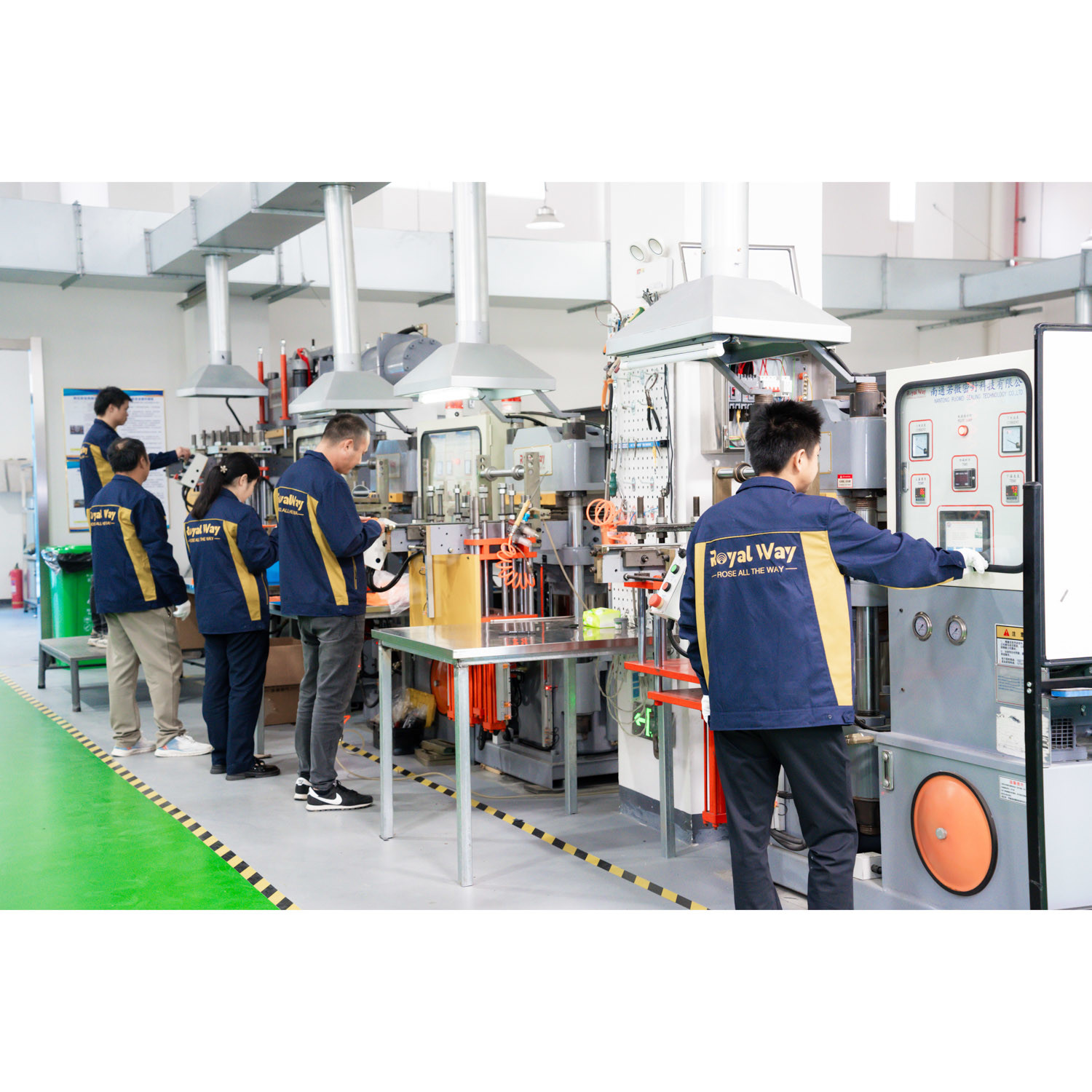 Made in China Hammer Union Lip Seal Ring HNBR