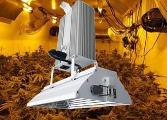 Greenhouse Production HID Grow Lights , High Light 1000 Watt Grow Light For
