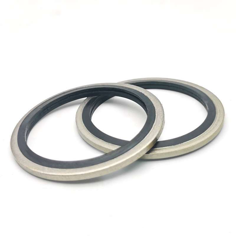 Rubber EPDM NBR Customized Stainless Steel Metal Screw Dowty Sealing Washer