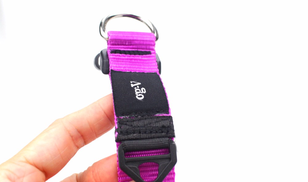 Eco - Friendly Pet Collar For Dog Walking , Fashion Sport Dog Collar