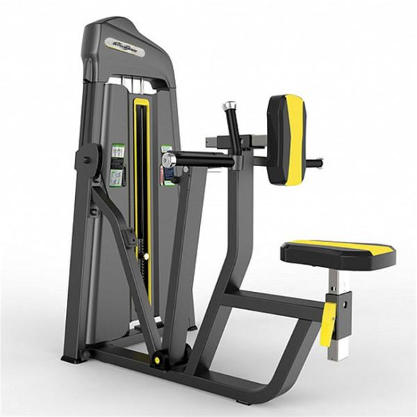 Befreeman Wholesale Professional Commercial Body Building Equipment Seated Back