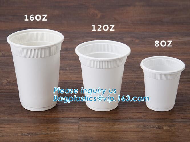 Meal Prep Containers Free Sample Bento Lunch Box Biodegradable Food Container Plastic Wheat Straw Lunch Box bagplastics