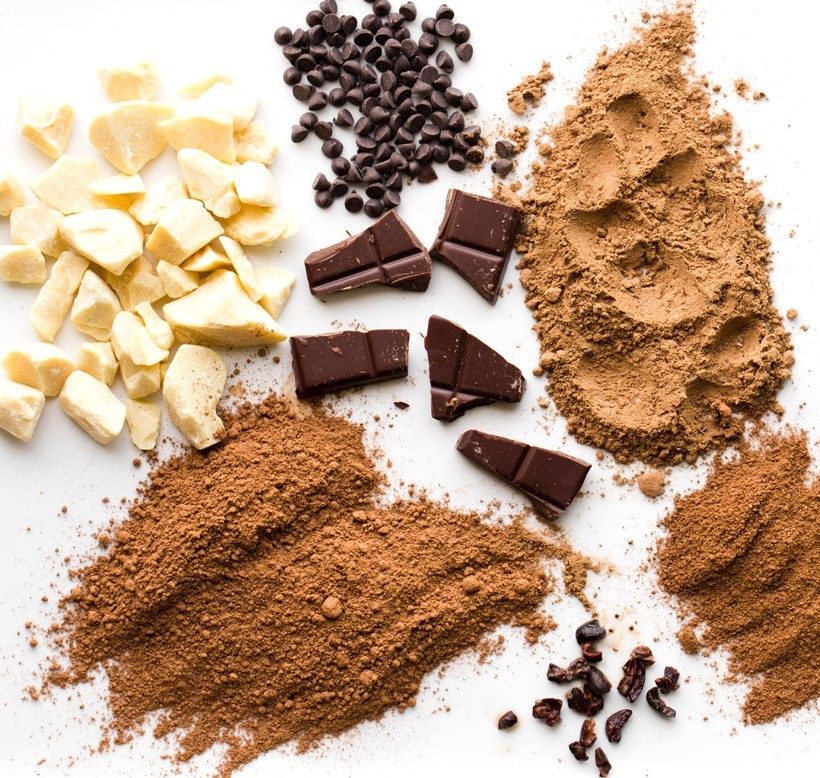 Wholesale Fat-reduced alkalized Ghana cocoa powder fat 10-12% For Beverage, Bakery，Confectionery, Ice-Cream