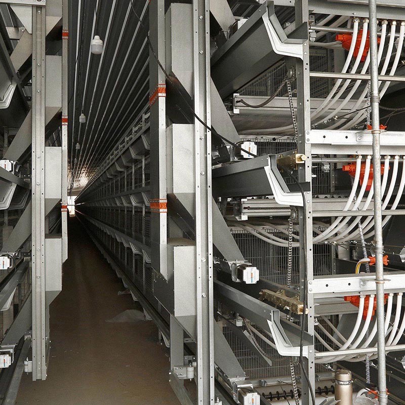 Modern Designed Egg Chicken Layer Cage Raising Equipment