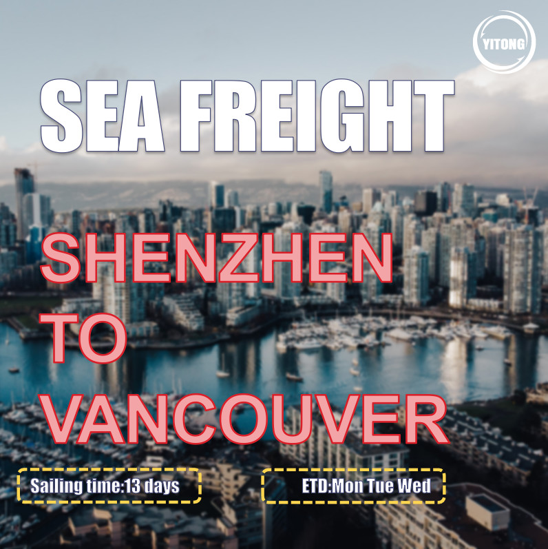 HMM YML Liner International Sea Freight From China To Canada Vancouver
