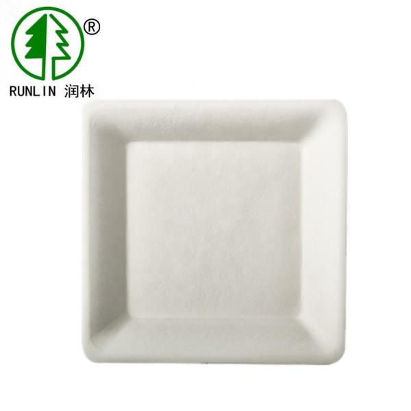 White Biodegradable Square Plates 155x155mm Sugarcane Bagasse Birthday Party