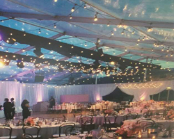 25Ft 50ft 100f ST38 String Light Clear Bulbs Fairy String Waterproof IP44 Patio String Light Outdoor New Year Wedding Decorative