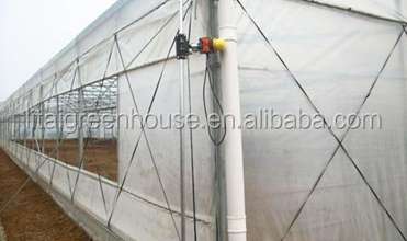 Customized Size Film Covered Poultry Farm Greenhouse Length 30-100m with Film Cover