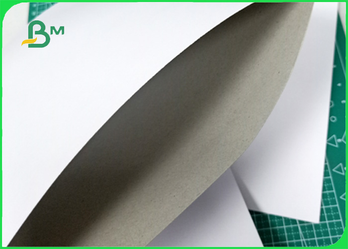 One side white / grey good printing adaptability 250gsm Duplex board for package