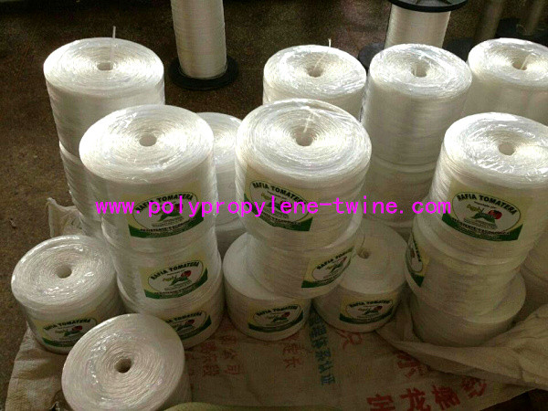 Polypropylene Thread Packing 1800m/roll 3000m/roll PP Twine Farm Garde