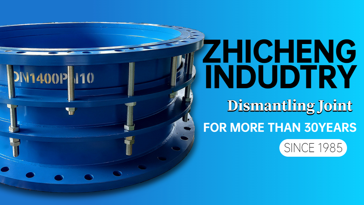 3" 4" 5" Double Flanged Expansion Joint Expanded Metal Disassembly Joint DN65-DN3200