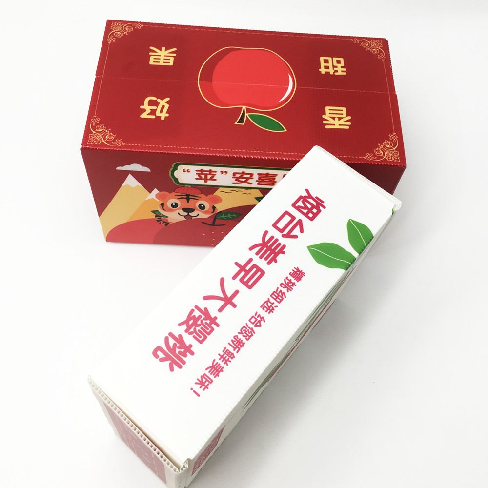 Reusable Impact Resistance Waterproof Corrugated Plastic Carton Polypropylene Box 4mm
