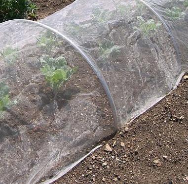 Plastic Agricultural Greenhouse Anti Aphid White Fly Insect Net For Vegetable