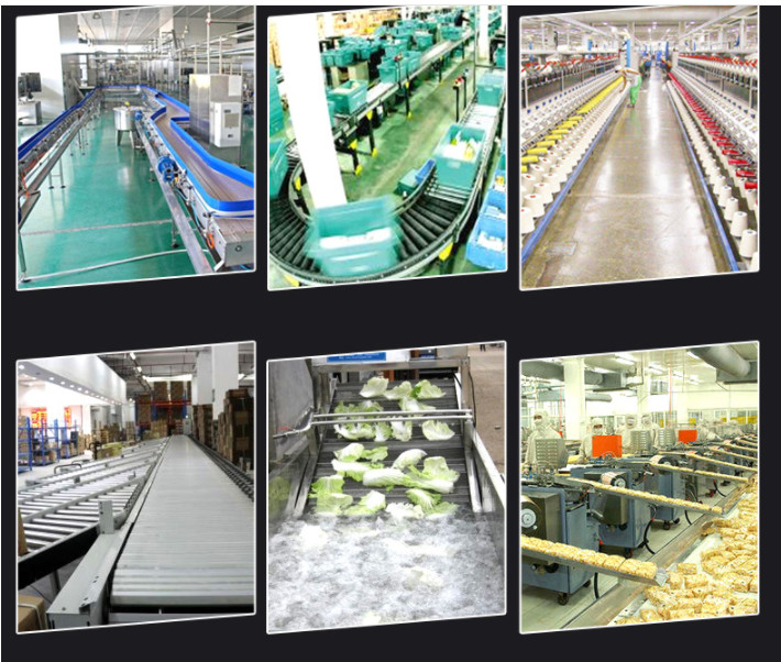 304 Material Blueberry Harvester Chain Mesh Conveyor Belt Fruit Picking Screening