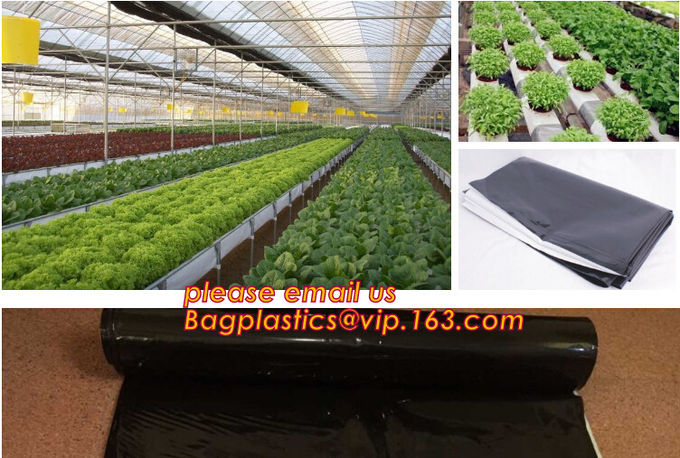 Multi-Span Plastic Film Cover Natural Ventilation Vegetable Greenhouse,Greenhouse Kits Plastic Greenhouse 200 micron gre