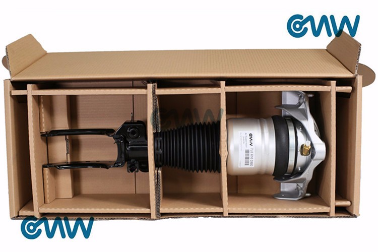 Air Suspension Stutr for Jaguar Front C2C41349  C2C41339  C2C41352  C2C41354 Shock Absorber