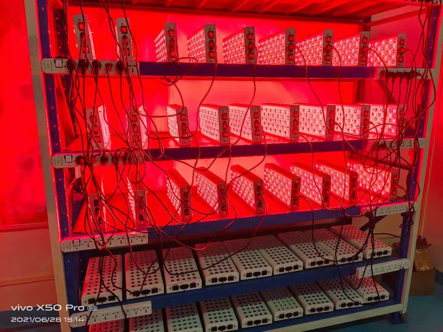 Convenient Body Care 1000W Red Light Therapy Panel 50Hz-60Hz Frequency Range