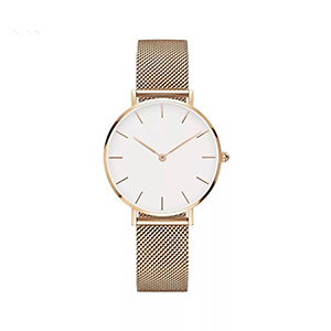 Business Luxury Wrist Watch , Multifunction Watch Stainless Steel Back