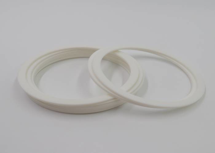 Oil Resistant Excavator Spare Parts BRT ABA White FKM EPDM Oil Seal